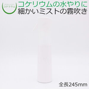 yeE RPE  RP ۃeE ۃE ANAE ANAeE ϗtA | nChJ`[ K[fjO O[ CeA  ۖ~  moss Sҁz