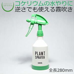 yeE RPE  RP ۃeE ۃE ANAE ANAeE ϗtA | nChJ`[ K[fjO O[ CeA  ۖ~  moss Sҁz