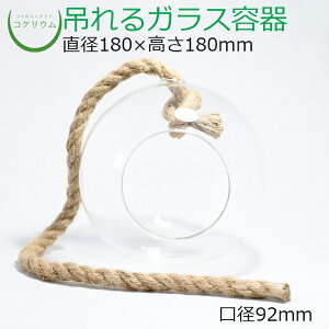 yeE KXe RPE  RP ۃeE ۃE ANAE ANAeE  ϗtA | nChJ`[ K[fjO O[ CeA  ۖ~ 