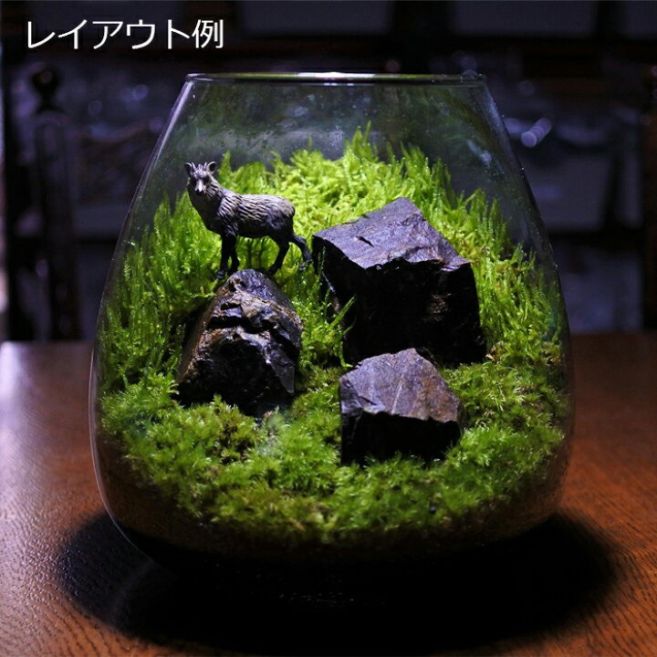 楽天市場】【観葉植物 おしゃれ ミニ テラリウム フィギュア ミニ観葉 コケリウム 苔 コケ 苔テラリウム 苔リウム アクアリウム アクアテラリウム 園芸 ハイドロカルチャー ガーデニング グリーン インテリア 緑 苔盆栽 癒し moss 初心者】 コケリウムフィギュア カモシカ ... 楽天市場】【観葉植物 おしゃれ ミニ テラリウム フィギュア ミニ観葉 コケリウム 苔 コケ 苔テラリウム 苔リウム アクアリウム アクアテラリウム 園芸 ハイドロカルチャー ガーデニング グリーン インテリア 緑 苔盆栽 癒し moss 初心者】 コケリウムフィギュア カモシカ ...