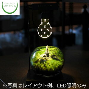 観葉植物 Led 照明の人気商品 通販 価格比較 価格 Com