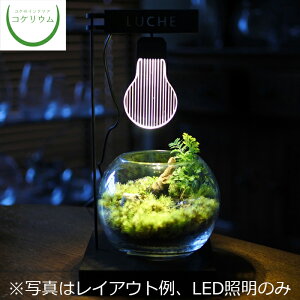 観葉植物 Led 照明の人気商品 通販 価格比較 価格 Com