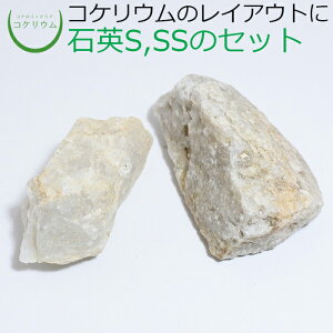 yeE RPE  RP ۃeE ۃE ANAE ANAeE ϗtA | nChJ`[ K[fjO O[ CeA  ۖ~  moss VR 