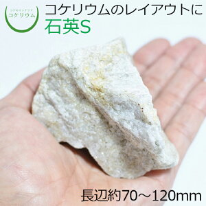 yeE RPE  RP ۃeE ۃE ANAE ANAeE ϗtA | nChJ`[ K[fjO O[ CeA  ۖ~  moss VR 