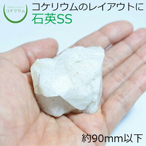 yeE RPE  RP ۃeE ۃE ANAE ANAeE ϗtA | nChJ`[ K[fjO O[ CeA  ۖ~  moss VR 