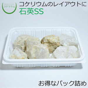 yeE RPE  RP ۃeE ۃE ANAE ANAeE ϗtA | nChJ`[ K[fjO O[ CeA  ۖ~  moss VR 