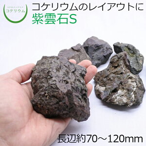 yeE RPE  RP ۃeE ۃE ANAE ANAeE ϗtA | nChJ`[ K[fjO O[ CeA  ۖ~  moss VR 