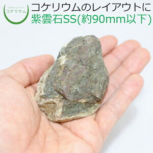 yeE RPE  RP ۃeE ۃE ANAE ANAeE ϗtA | nChJ`[ K[fjO O[ CeA  ۖ~  moss VR 