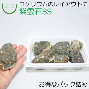 yeE RPE  RP ۃeE ۃE ANAE ANAeE ϗtA | nChJ`[ K[fjO O[ CeA  ۖ~  moss VR 