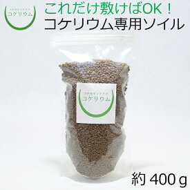 楽天市場 コケリウム 土の通販