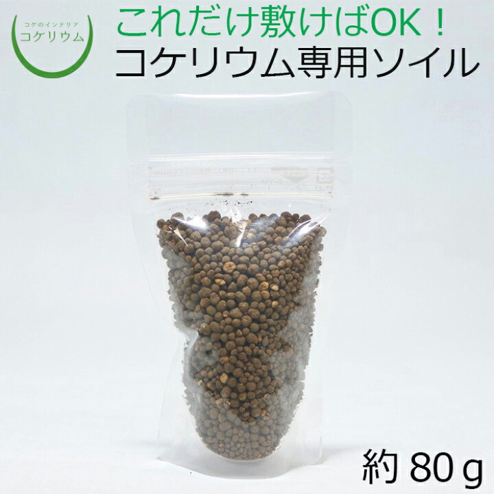 楽天市場 テラリウム コケリウム 苔 コケ 苔テラリウム 苔リウム アクアリウム アクアテラリウム 観葉植物 園芸 ハイドロカルチャー ガーデニング グリーン インテリア 緑 苔盆栽 癒し Moss 初心者 土 底砂 レイアウト パック コケリウム専用ソイル ブラウン