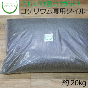 yeE RPE  RP ۃeE ۃE ANAE ANAeE ϗtA | nChJ`[ K[fjO O[ CeA  ۖ~  moss S 