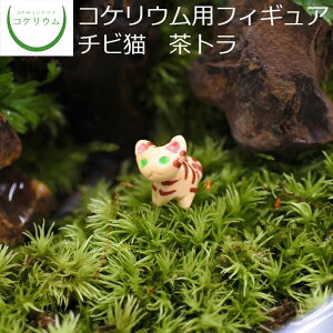 【観葉植物 おしゃれ 可愛い ミニ テラリウム フィギュア ミニ観葉 コケリウム 苔 コケ 苔テラリウム 苔リウム 園芸 ハイドロカルチャー ガーデニング グリーン インテリア 緑 苔盆栽 癒し