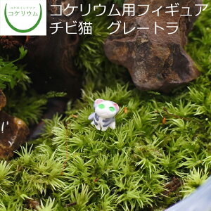 【観葉植物 おしゃれ 可愛い ミニ テラリウム フィギュア ミニ観葉 コケリウム 苔 コケ 苔テラリウム 苔リウム 園芸 ハイドロカルチャー ガーデニング グリーン インテリア 緑 苔盆栽 癒し