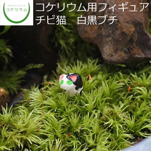 yϗtA   ~j eE tBMA ~jϗt RPE  RP ۃeE ۃE | nChJ`[ K[fjO O[ CeA  ۖ~  