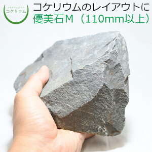 【テラリウム コケリウム 苔 コケ 苔テラリウム 苔リウム アクアリウム アクアテラリウム 観葉植物 園芸 ハイドロカルチャー ガーデニング グリーン インテリア 緑 苔盆栽 癒し moss 天然石