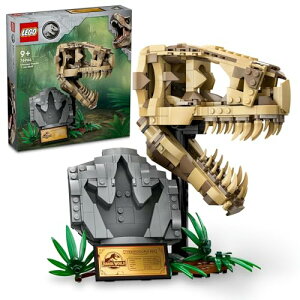 S(LEGO) WVbN [h ̉:T-bNXW  ߋ v[g a ubN NX}X j̎q ̎q q 9 10 11 w    76964
