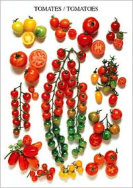 楽天市場 ポストカード トマトの通販