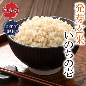 茺 _ ̂̈ 5kg Ė_Ew엿͔|ߘa7N䌧Y 嗱Ŗ̂锭茺ĐH@ہEr^~BQEGABALxAuVW_o^pbNł