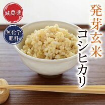 楽天市場】玄米 30kg 7000円（発芽玄米｜米・雑穀）：食品の通販