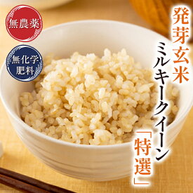 発芽玄米 無農薬 ミルキークイーン「特選」2kg 無洗米 甘みがありモチモチやわらか無農薬・無化学肥料栽培令和5年福井県産 送料無料食物繊維・ビタミンB群・GABA・ミネラルが豊富アブシジン酸は未検出真空パック チャック付米・食味鑑定士認定米