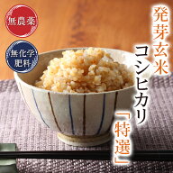 発芽玄米 無農薬 コシヒカリ 「特選」2kg 無洗米 福井県7年産限定米 送料無料無農薬・無化学肥料栽培(農…