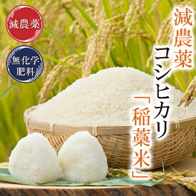 コシヒカリ「稲藁米」5kg令和7年 福井県産減農薬（農薬使用量5割以上削減）・無化学肥料栽培特別栽培米 送料無料米・食味鑑定士認定米