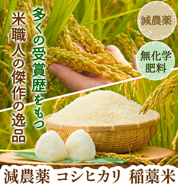 楽天市場】コシヒカリ「稲藁米」5kg令和7年 福井県産減農薬（農薬使用 
