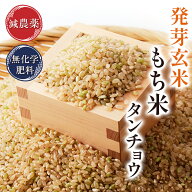 発芽玄米 もち米 2kg 無洗米ふっくらもっちり特別栽培米 令和7年 福井県産食物繊維・ビタミンB群・GABA・…