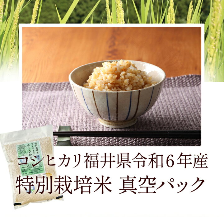楽天市場】発芽玄米 無農薬 コシヒカリ 「特選」2kg 無洗米 令和6年  