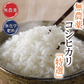 無農薬 玄米 米 3kg無農薬コシヒカリ「特選」令和5年福井県産限定米 送料無料無農薬・無化学肥料栽培自然農法米米・食味鑑定士認定米