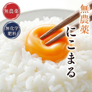 無農薬 玄米 米 5kg無農薬 にこまる令和7年福井県産新米限定米 送料無料無農薬・無化学肥料栽培自然農法米 LPS 玄米米・食味鑑定士認定米
