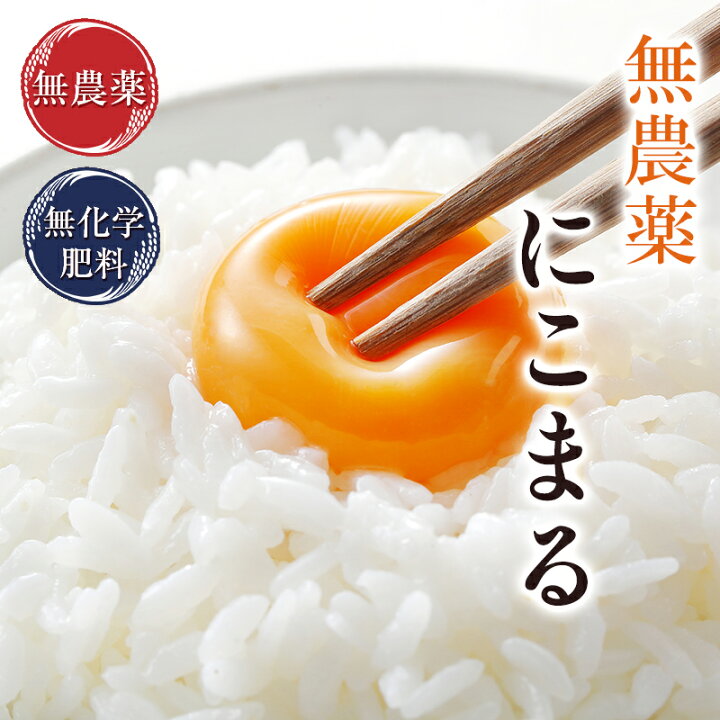 楽天市場】無農薬 玄米 米 2kg無農薬 にこまる令和7年 福井県産限定米 