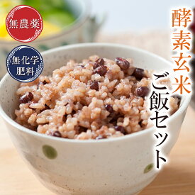 無農薬 酵素玄米ごはん 2kgセット 令和5年産 福井県産 無農薬玄米使用 送料無料