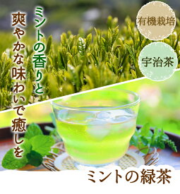 ミント入緑茶　ミントの緑茶ティーバッグ 20g(2g10P入)【メール便は3袋まで】