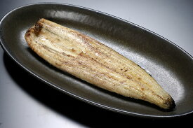 【産直商品】浜名湖鰻(うなぎ)白焼125g×2本