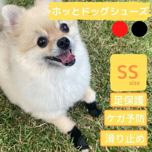   ی PA C V[Y ^ 2 { ~ ]|h~ p C  T|[g t@Xi[\ ̓