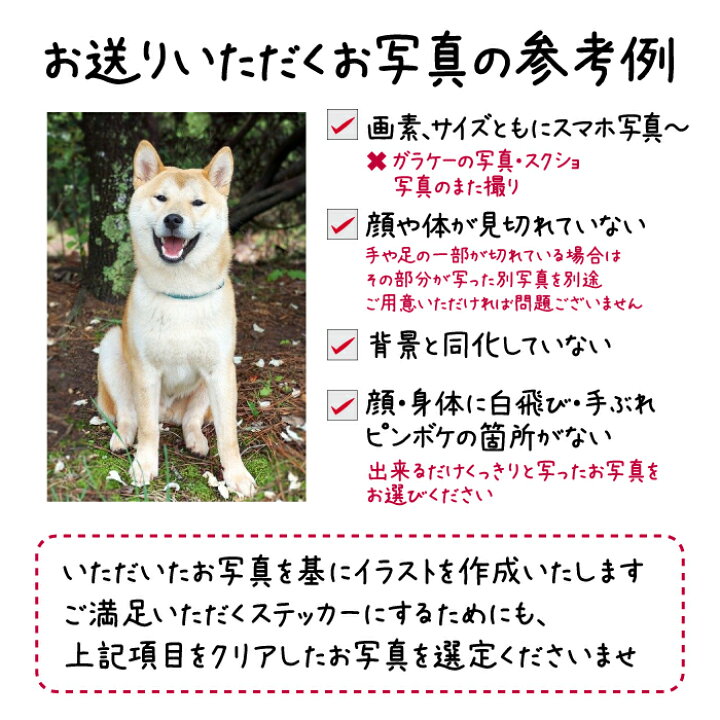デイリーランキング1位! ペットステッカー カーステッカー 【愛犬写真から作る(全身タイプ)】 車用ステッカー 名入れステッカー DOGINCAR ドッグインカー 犬が乗っています 愛犬グッズ ペットグッズ へら付き ホワイト シルバー 犬 猫 かわいい おしゃれ ... 犬 ステッカー 可愛い おしゃれカー愛犬と一緒に暮らす人々のための新しいライフスタイルを提案します 犬 ステッカー 可愛い おしゃれDog is Good ステッカー ネウ゛ァーRVアローン