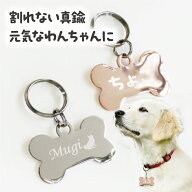 デイリーランキング1位！ 【あす楽】輝く 迷子札 犬 猫 骨型 ドッグタグ ペットタグ ネームタグ 真鍮 丈…