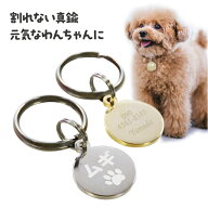 デイリーランキング1位！ 【あす楽】迷子札 犬 迷子 防止 猫 丸小型 名前 連絡先 刻印します ドッグタグ …