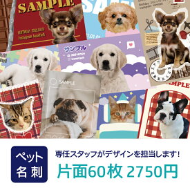 【最大2000円OFFクーポン】リアルタイムランキング1位！ ペット名刺 かわいい デザインテンプレート 86種類 大好きなペットの写真を入れることができます 犬 猫 イヌ ネコ オリジナル 送料無料