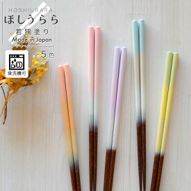 【LINE友達で300円OFFクーポン】 箸 お箸 若狭塗り 日本製 食洗機対応 滑り止め 23cm 単品 ほしうらら ひまわり堂 ネコポス