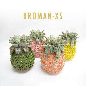 DESPOTS/fX|bc L@IȃpCibv t[x[X CG[/IW/sN/O[/RpNgTCY/pC/ԕr/CeA/fUC/l/R[fBl[g/I_/u/