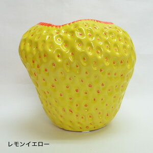 DESPOTS/fX|bc ȃXgx[ t[x[X VF 4F r^~J[ bh/IW/CG[/u[/MTCY//ԕr/CeA/fUC/l/R[fBl[g/I