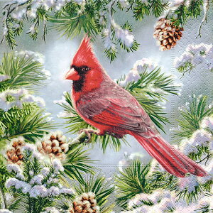 �y�[�p�[�i�v�L���� PAPER+DESIGN RED CARDINAL ���� �f�R�p�[�W�� �h�C�c�� ���[���b�p �N���X�}�X�U�C�t�F�� NAPKIN �N���X�}�X�G�� ���蕨 �����y20������z�y���[���։z600303