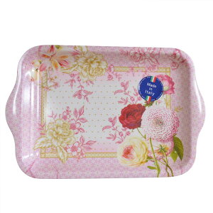 C^A NUOVA R2S ȃA[gg[ijsN ԑ  14.5cm×22cm ڂ gC A/~ art-tray-s-rena