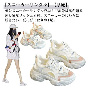 T_ fB[X Xj[J[T_   X|[cT_ Cq[ ܐ悠 X|T AEghA W[ X|[c vbgtH[ Xj[J[ ₷ bV ʋC