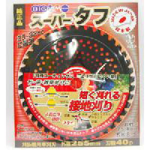�y���������I�z���V�@BIGM�@�X�[�p�[�^�t�@255mm×40P�Z�������ڒn����I