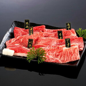 yzyF싍zF싍 Ă΁`Ɂ` (5`6lO) | a̎R F IB    Mtg v[g  p