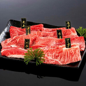 yzyF싍zF싍 Ԃԉ΁`Ɂ` (5`6lO) | a̎R F IB    Mtg v[g  p